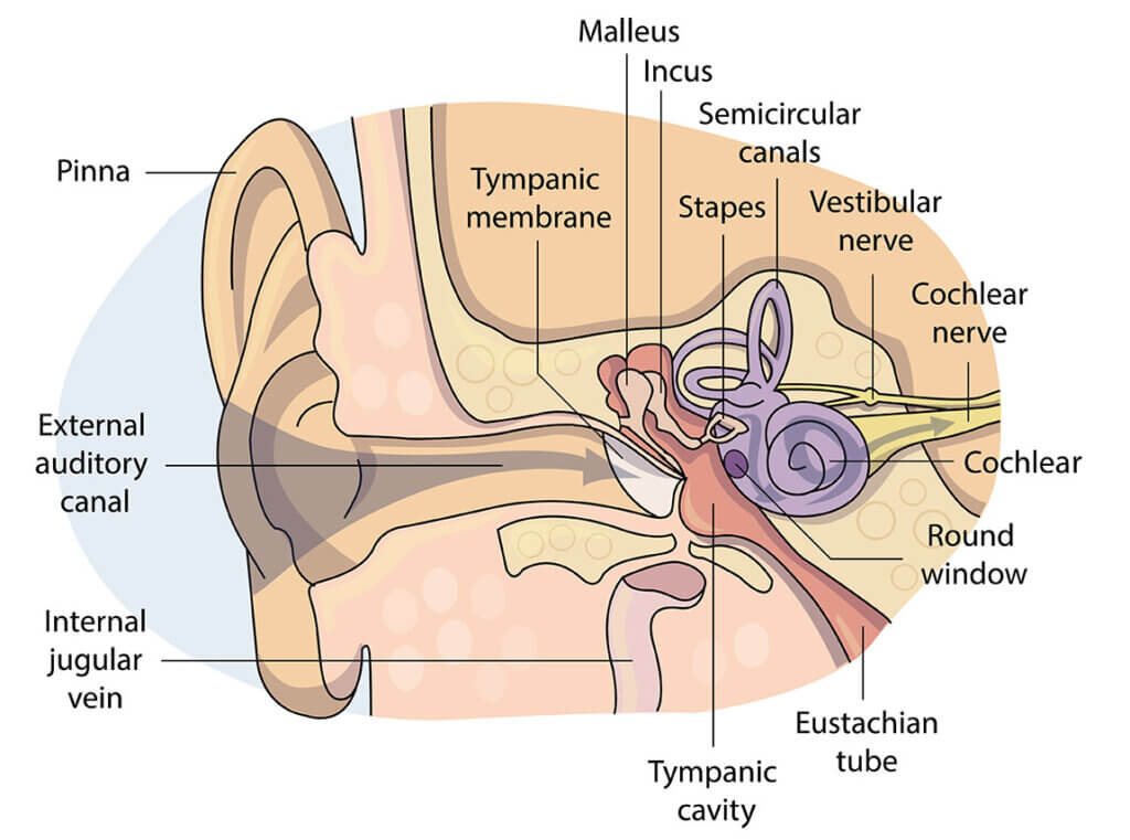 Vertigo Treatment in Jaipur